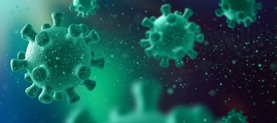 Imagem do post Adenovírus: como identificar, tratar e prevenir infecções desse tipo?